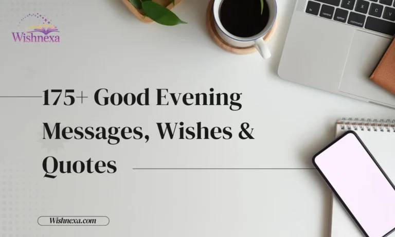 175+ Good Evening Messages, Wishes & Quotes