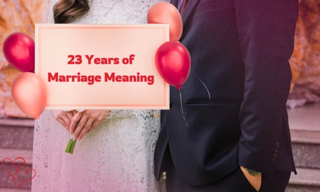 23 Years of Marriage Meaning