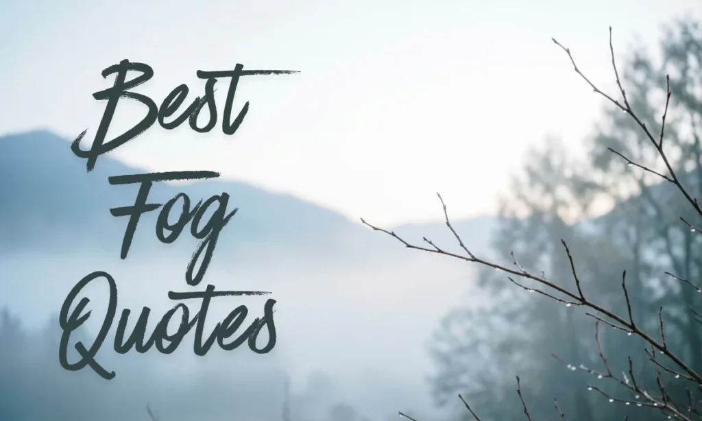 Best Fog Quotes