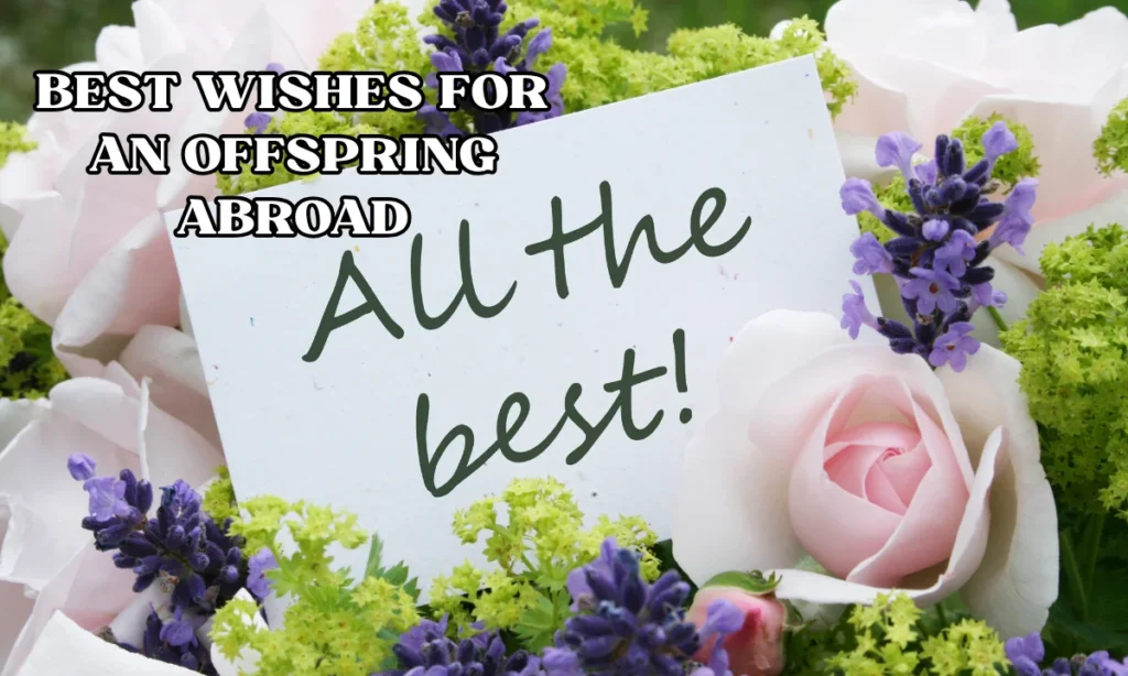 Best Wishes for an Offspring Abroad