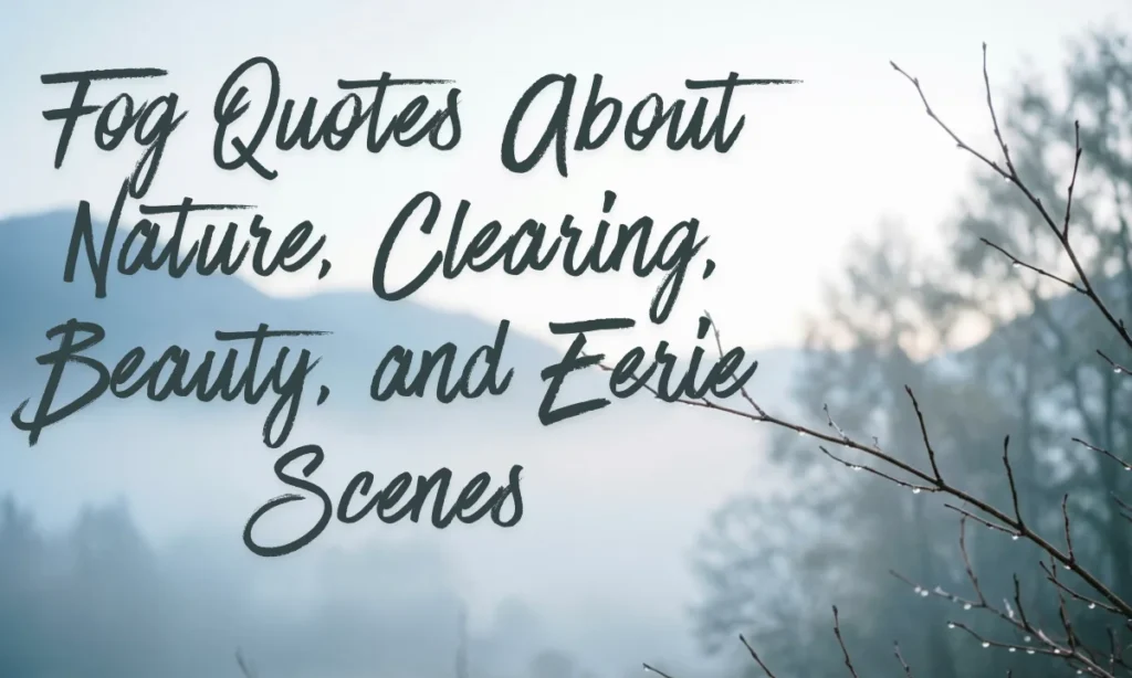 Fog Quotes About Nature, Clearing, Beauty, and Eerie Scenes
