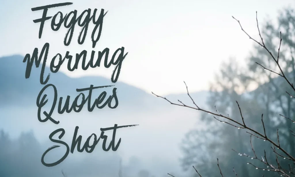 Foggy Morning Quotes Short