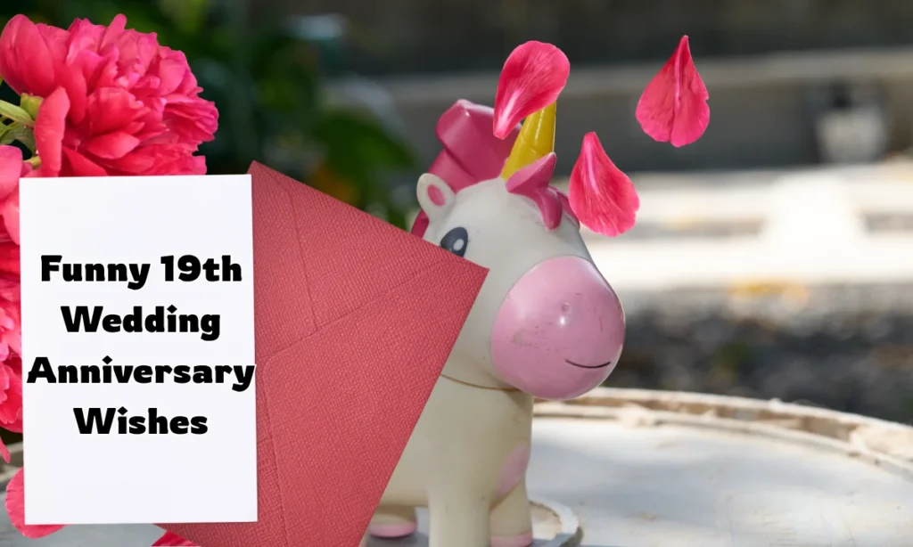 Funny 19th Wedding Anniversary Wishes