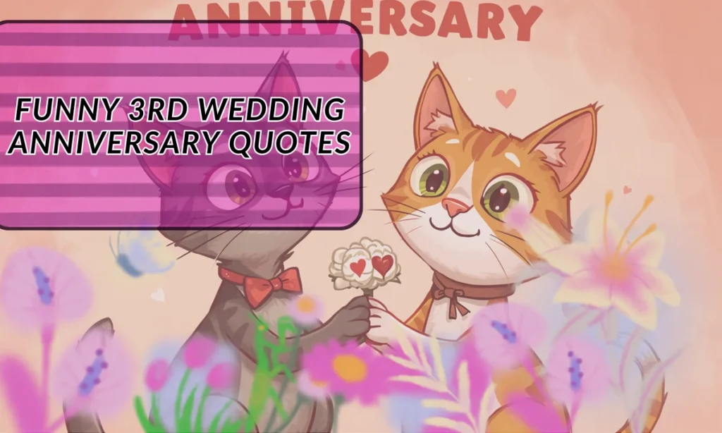 Funny 3rd Wedding Anniversary Quotes