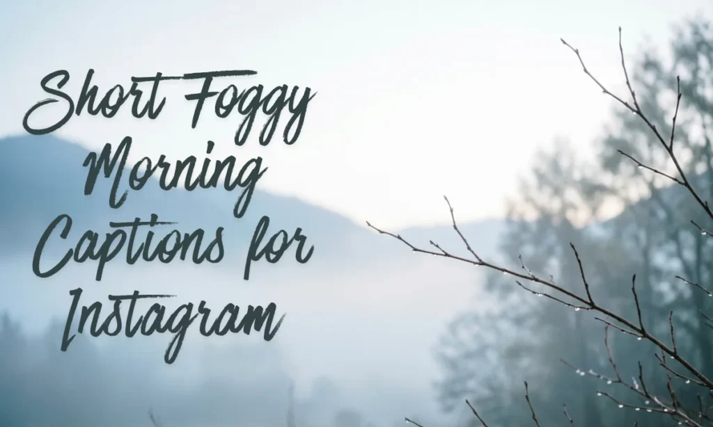 Short Foggy Morning Captions for Instagram