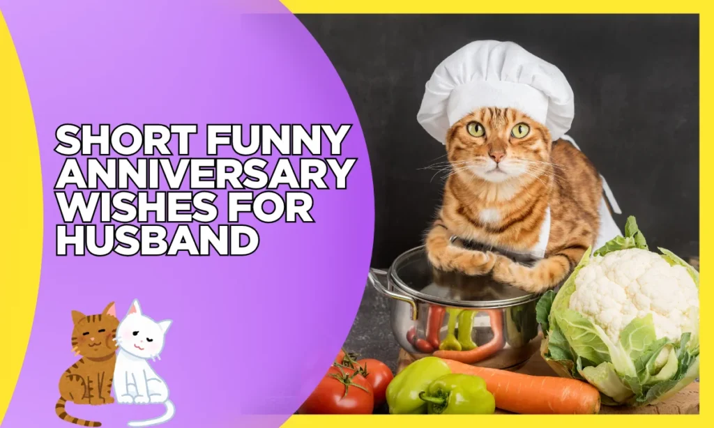 Short Funny Anniversary Wishes for Husband